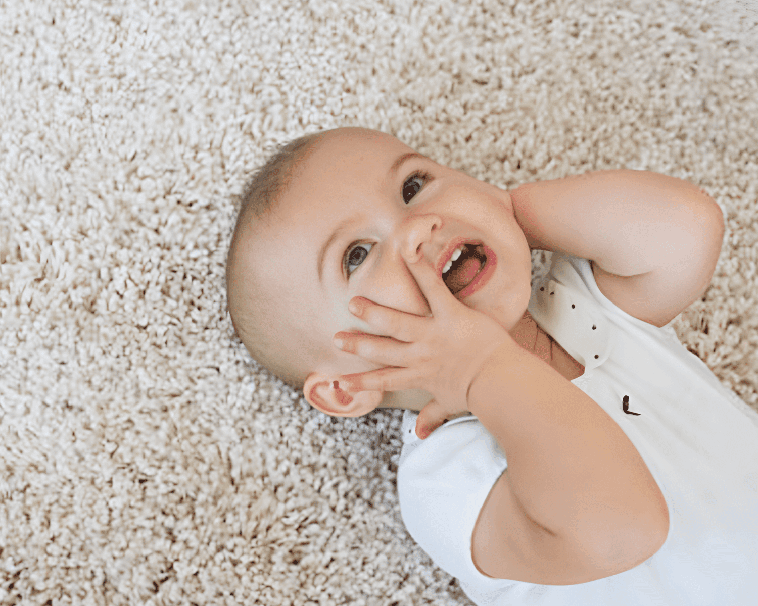 Carpet cleaning in Lewisburg, TN
