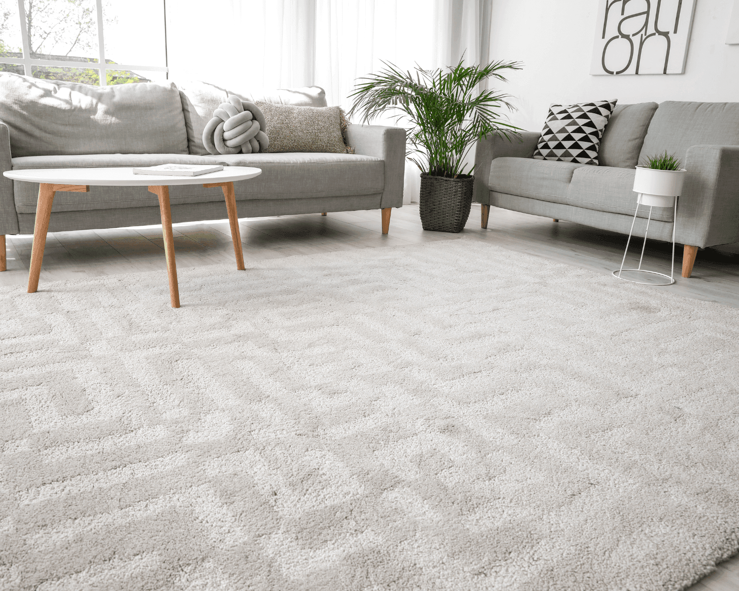 Carpet cleaning in Spring Hill, TN