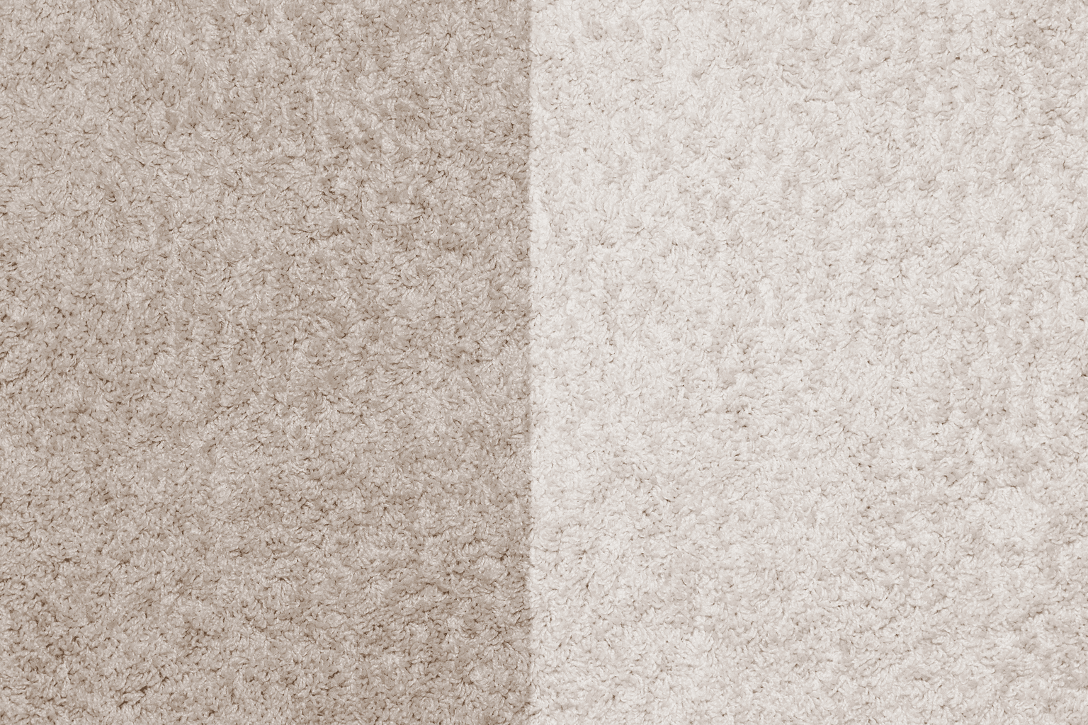 Carpet cleaning in Clarksville, TN