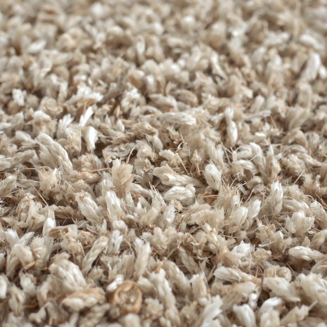 How often should you clean carpets in Madison