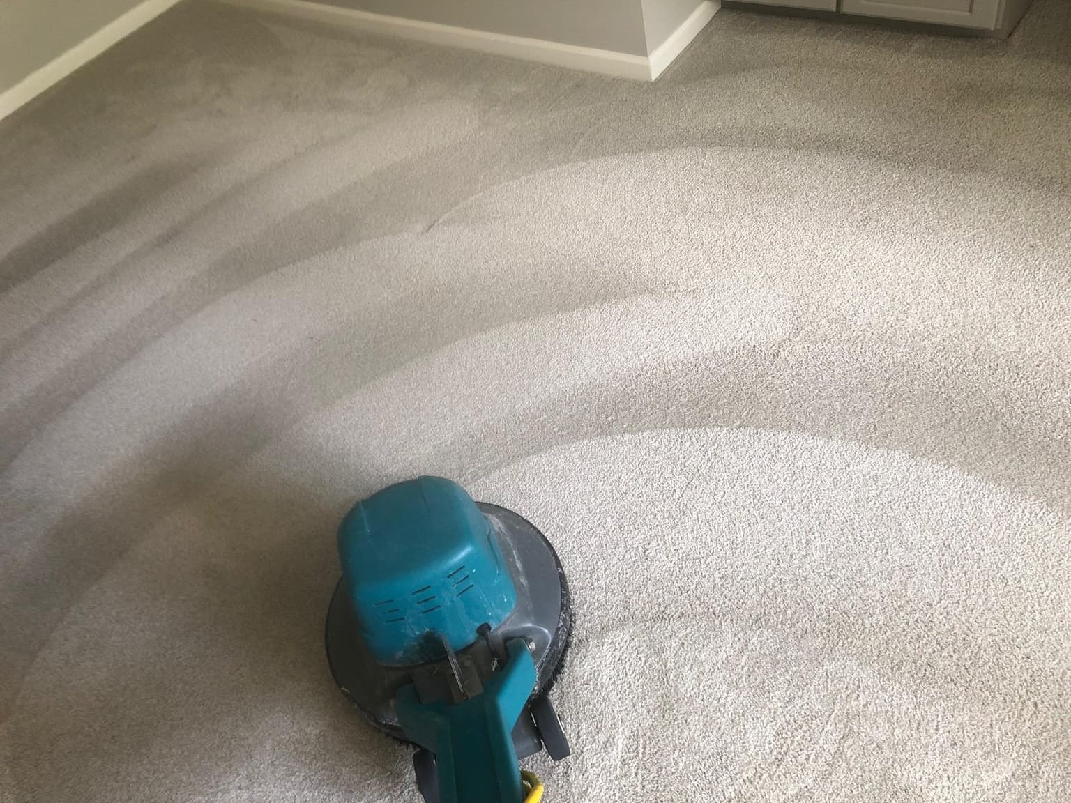 How to Choose the Best Carpet Cleaning Company Near You