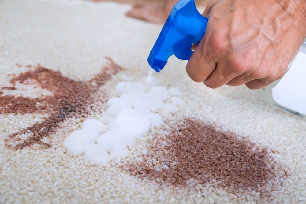 How to Get Paint Out of Carpet: The Ultimate Guide for a Spotless Home