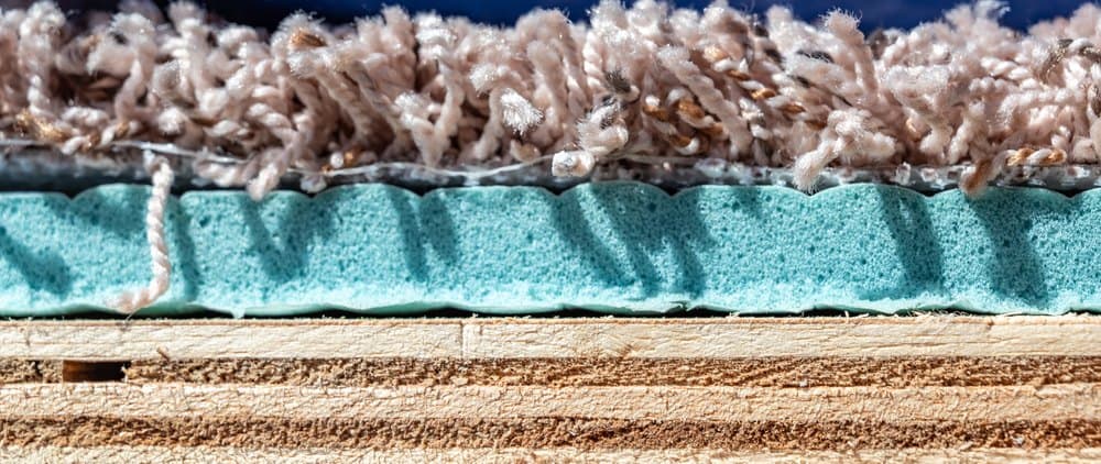 How Long Should Carpet Take to Dry in Nolensville?