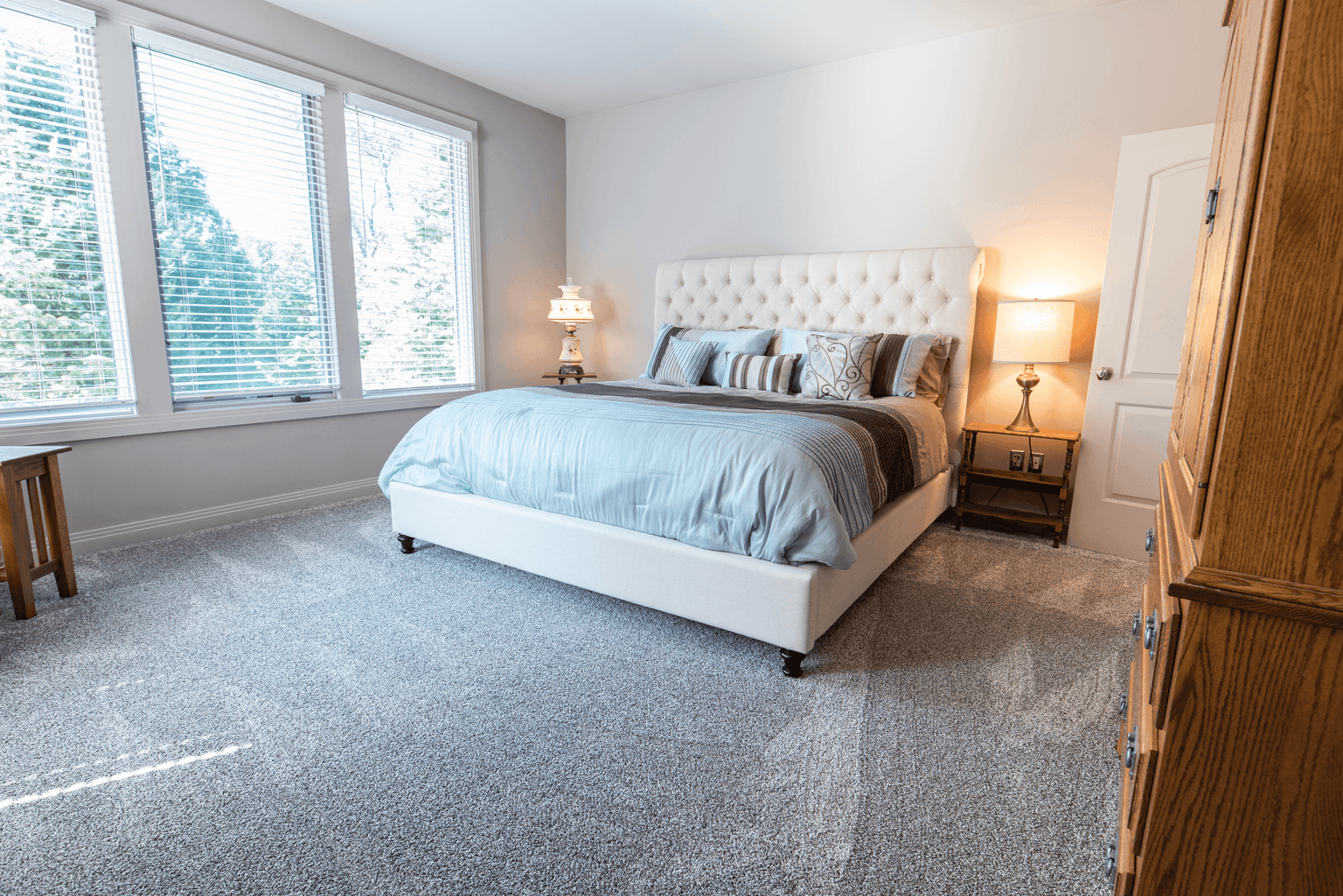 Carpet Cleaning in Nashville TN