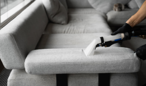 Technician cleaning a sofa